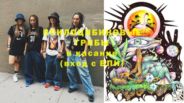 круглые Белокуриха