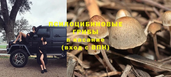 круглые Белокуриха