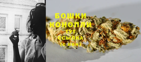 круглые Белокуриха