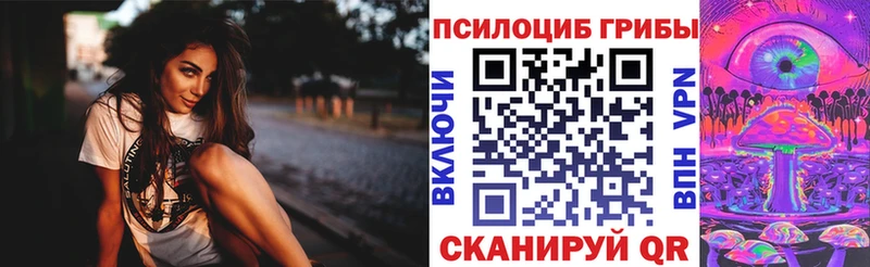 Галлюциногенные грибы Psilocybine cubensis  где можно купить   Верещагино 